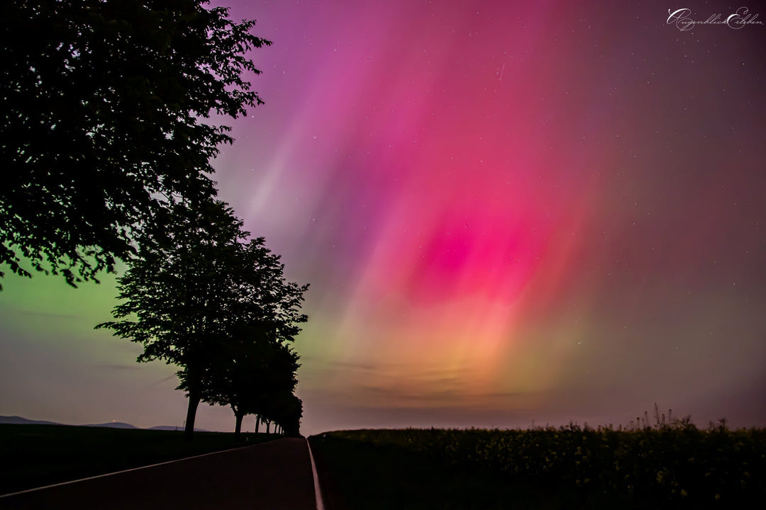 Capture Emotion in Landscape & Macro Photos With Netti Meyer