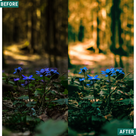 Rustikaler Frühling Lightroom Presets Pack