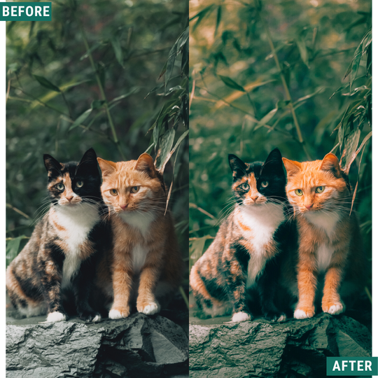 Rustikaler Frühling Lightroom Presets Pack