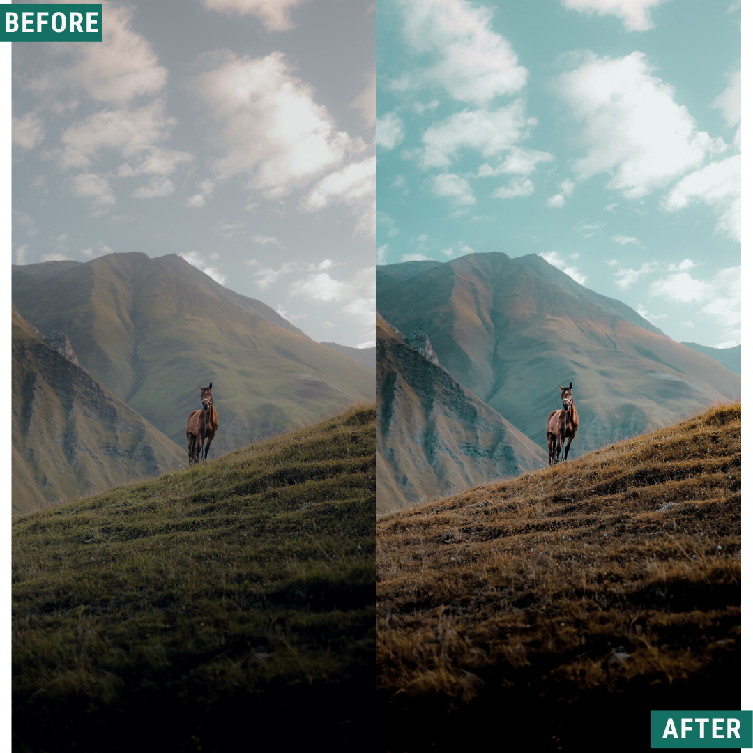 Teal Land Lightroom Presets Pack
