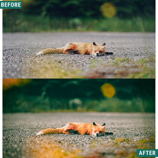 Rustikaler Frühling Lightroom Presets Pack