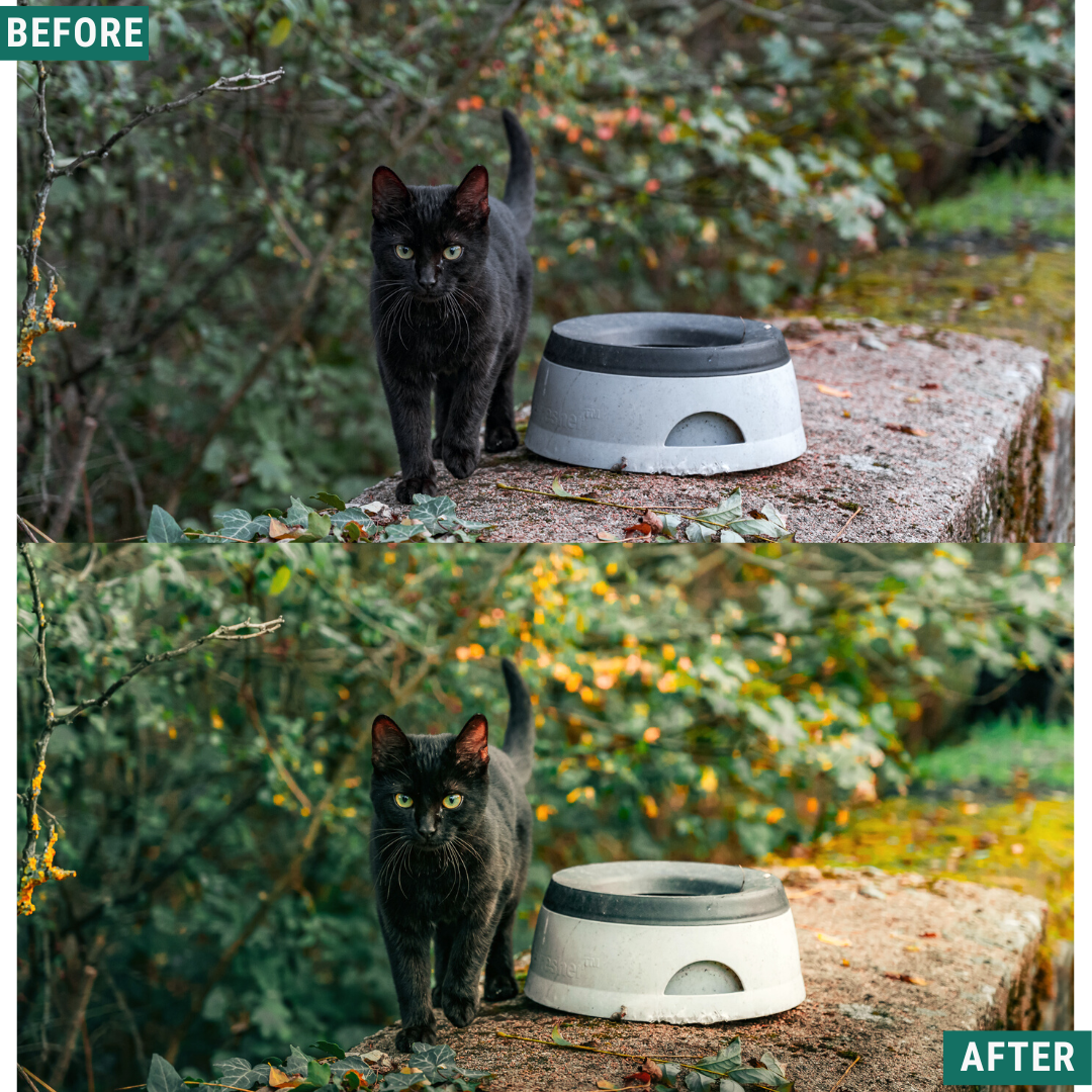 Rustikaler Frühling Lightroom Presets Pack