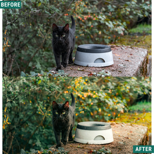 Rustikaler Frühling Lightroom Presets Pack