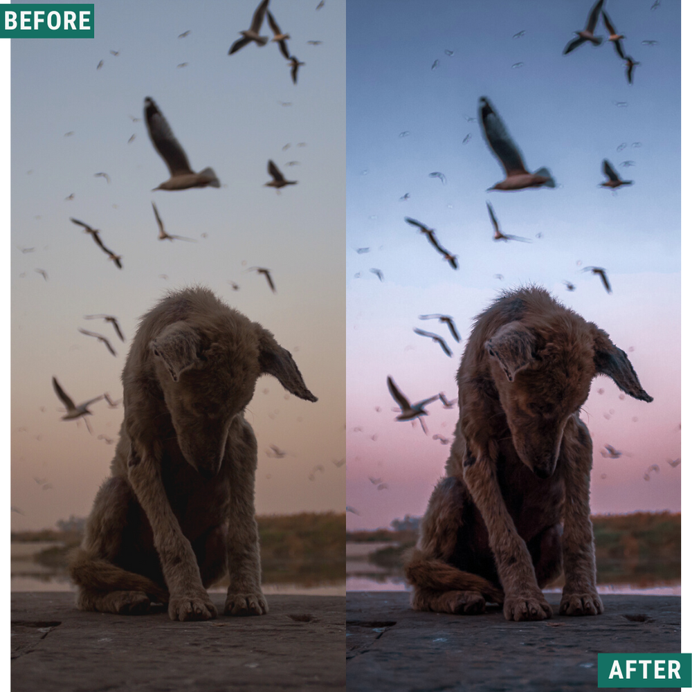 Blaue Dämmerung Lightroom Presets Pack