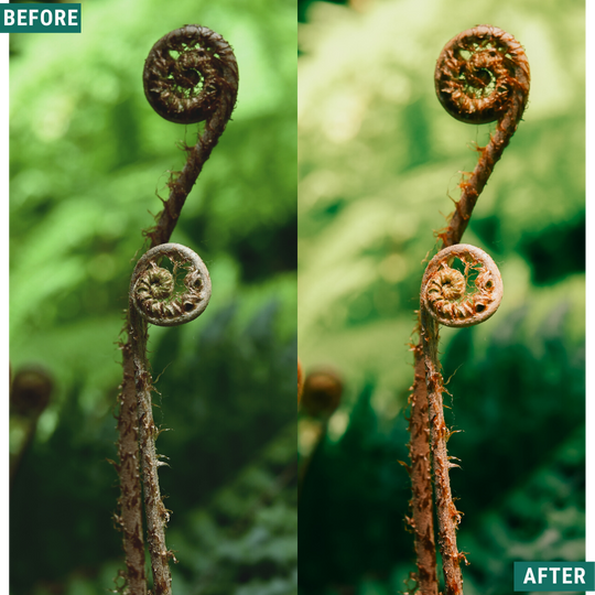 Rustikaler Frühling Lightroom Presets Pack