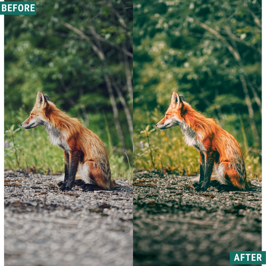 Rustikaler Frühling Lightroom Presets Pack