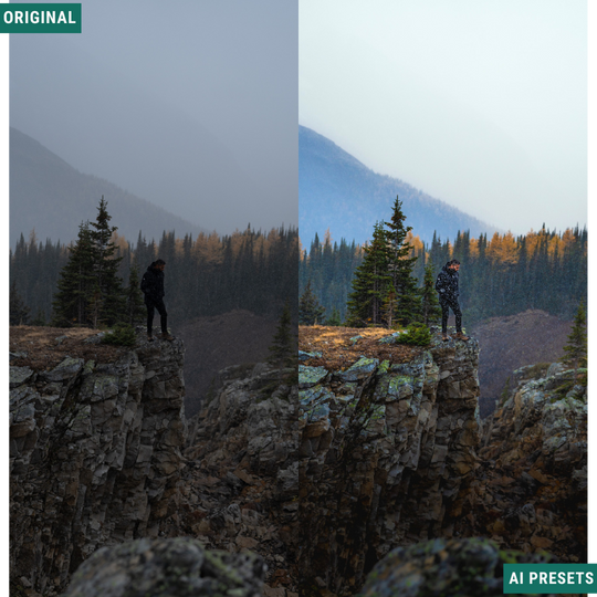 The Complete AI Workflow Lightroom Presets Bundle