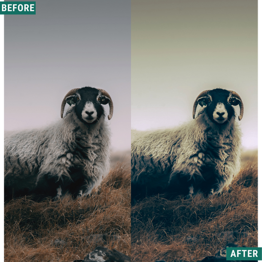 Rustikales Grün Lightroom Presets Pack