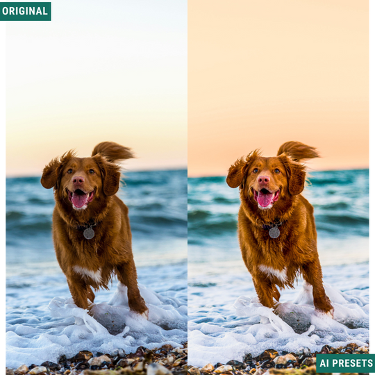 The Complete AI Workflow Lightroom Presets Bundle