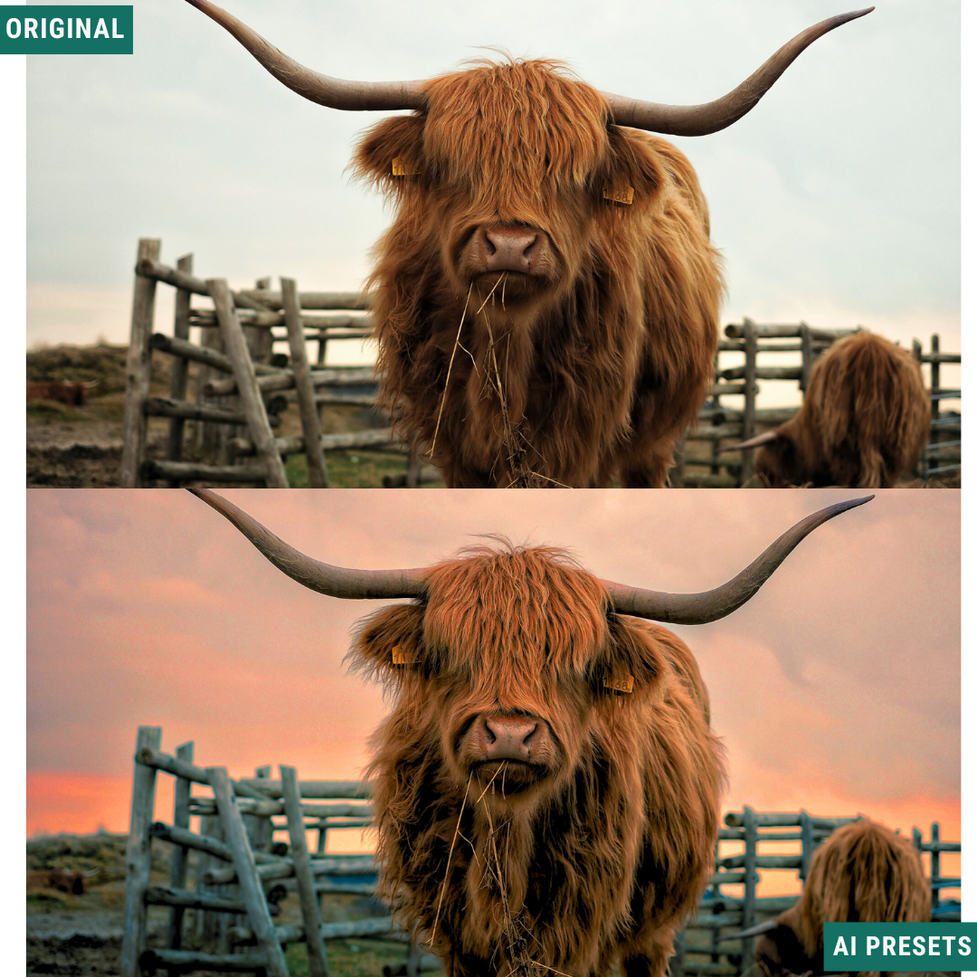 The Complete AI Workflow Lightroom Presets Bundle