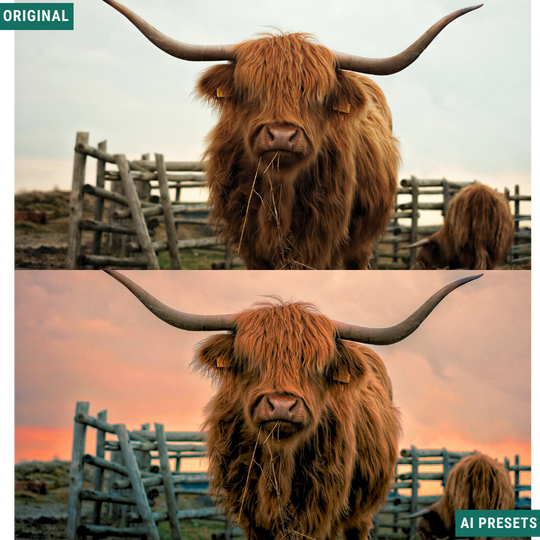 The Complete AI Workflow Lightroom Presets Bundle