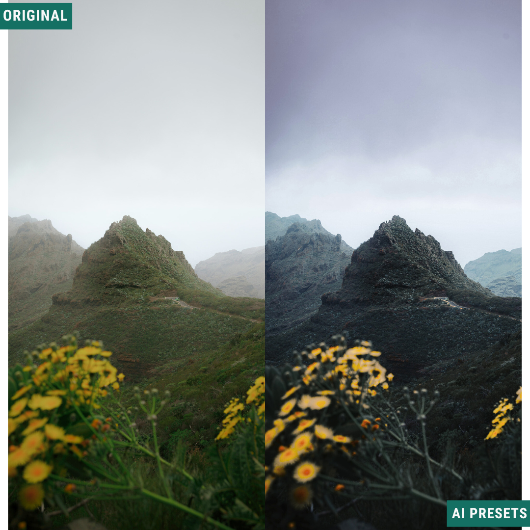 The Complete AI Workflow Lightroom Presets Bundle