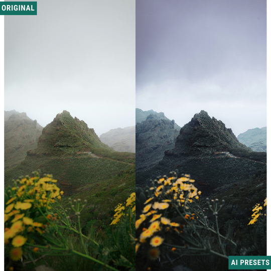 The Complete AI Workflow Lightroom Presets Bundle