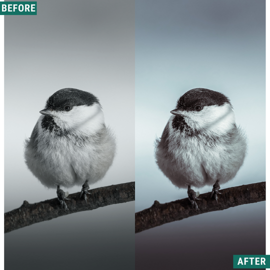 Silver Tones Lightroom Presets Pack