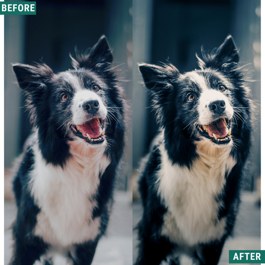 Cream Teal Lightroom Presets Pack
