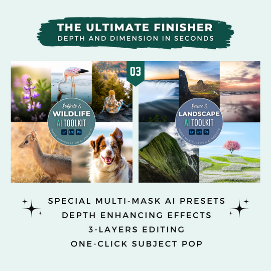 The Complete AI Workflow Lightroom Presets Bundle