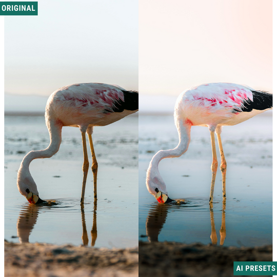 The Complete AI Workflow Lightroom Presets Bundle