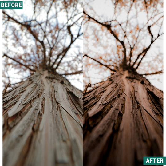 Rustikaler Wind Lightroom Presets Pack
