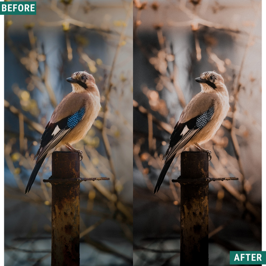 Rustikaler Wind Lightroom Presets Pack