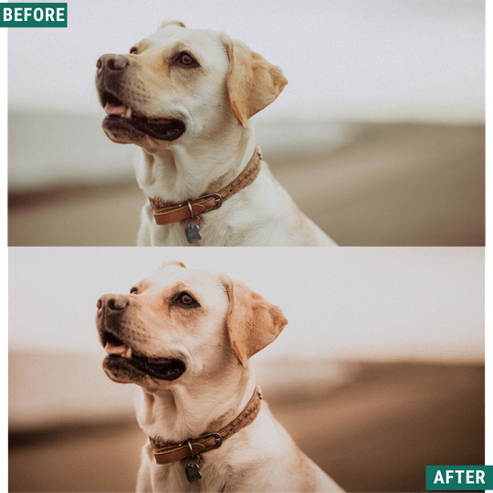 Rustikaler Wind Lightroom Presets Pack