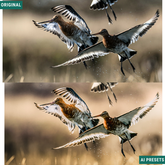 Subjects & Wildlife AI Photo Lightroom Toolkit