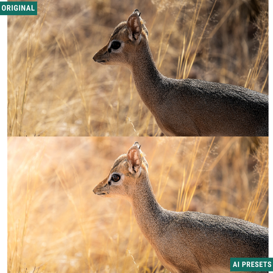 Subjects & Wildlife AI Photo Lightroom Toolkit