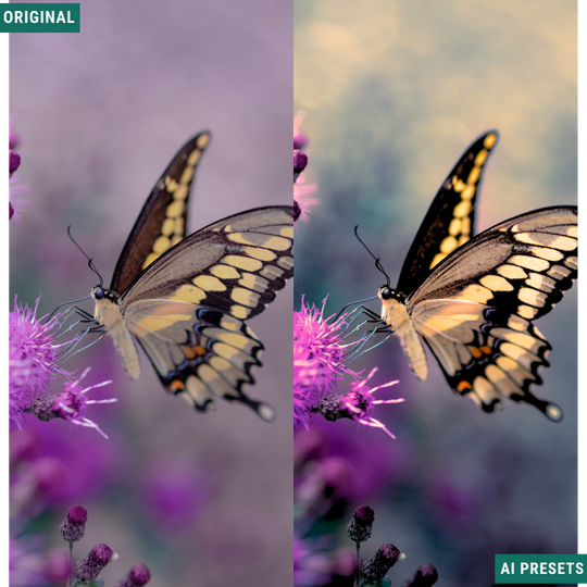 Summer AI Color Lightroom Toolkit
