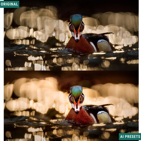 Subjects & Wildlife AI Photo Lightroom Toolkit