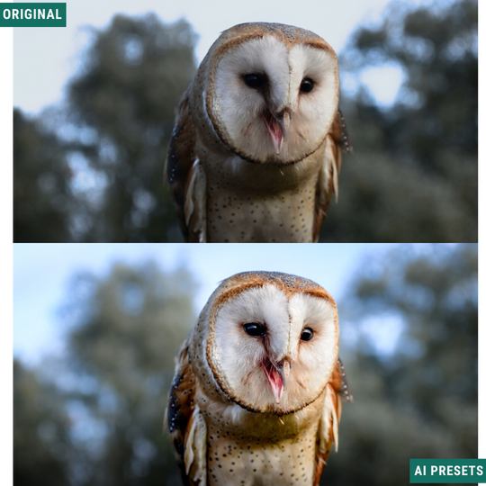Subjects & Wildlife AI Photo Lightroom Toolkit