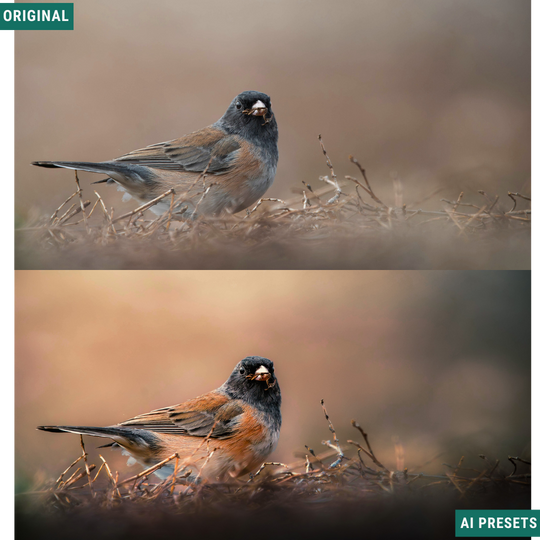 Subjects & Wildlife AI Photo Lightroom Toolkit