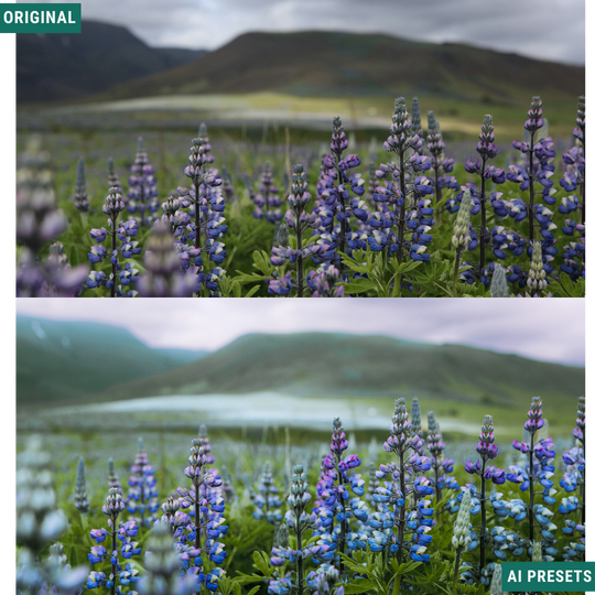 Summer AI Color Lightroom Toolkit