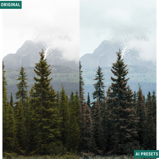 Rustic AI Color Lightroom Toolkit