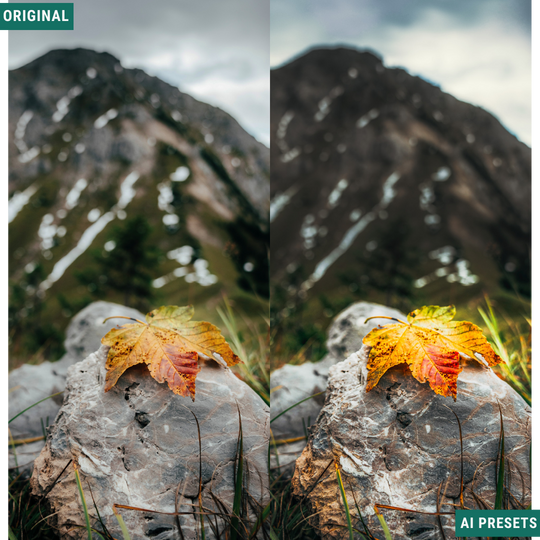 Landschaft AI Photo Lightroom Toolkit