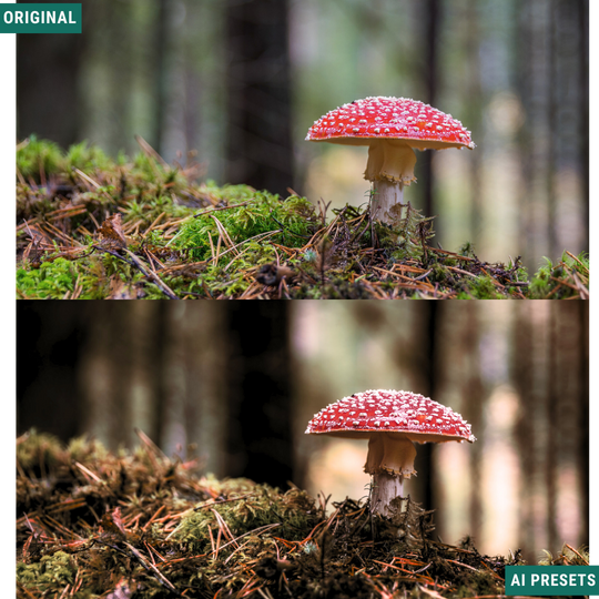 Rustic AI Color Lightroom Toolkit