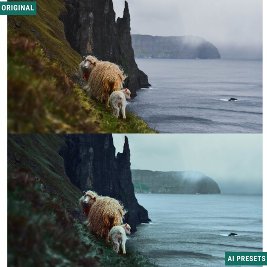 Moody AI Color Lightroom Toolkit