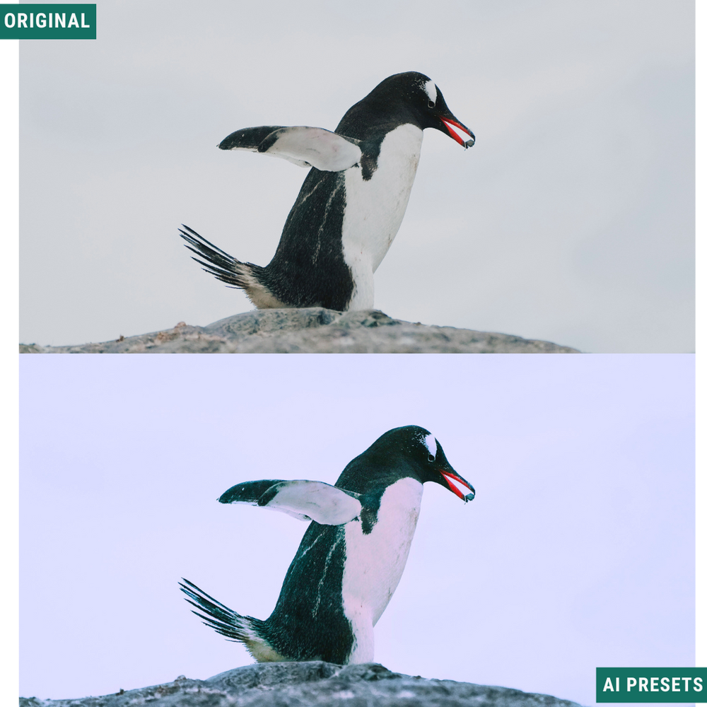 Moody AI Color Lightroom Toolkit