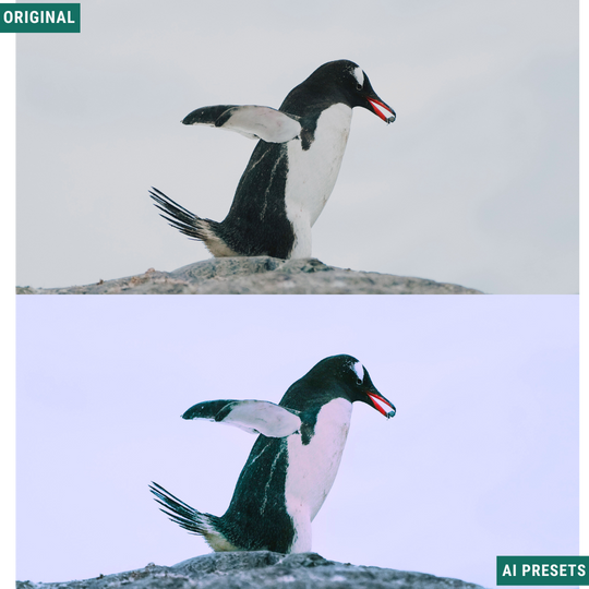 Moody AI Color Lightroom Toolkit