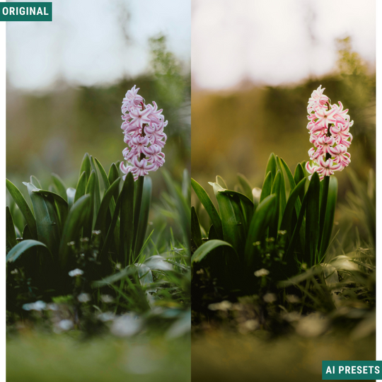 Rustic AI Color Lightroom Toolkit