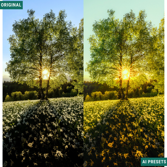 Spring AI Color Lightroom Toolkit