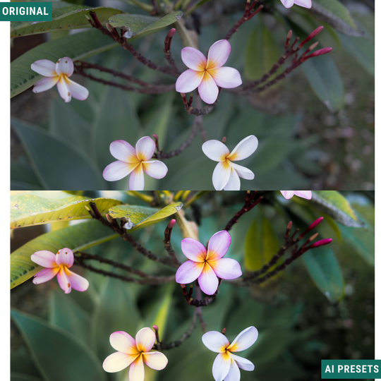 Spring AI Color Lightroom Toolkit