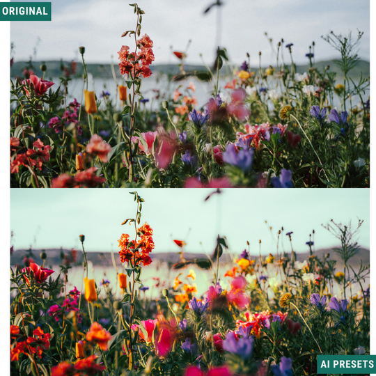 Spring AI Color Lightroom Toolkit