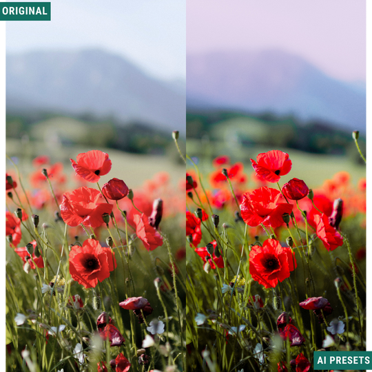 Spring AI Color Lightroom Toolkit