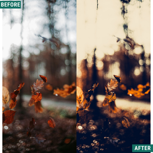 Warme Abenddämmerung LIMITED Lightroom Presets Pack