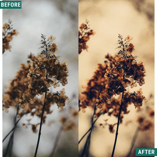 Warme Abenddämmerung LIMITED Lightroom Presets Pack