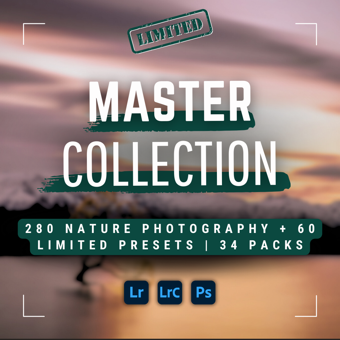 Master Collection Bundle 340 Lightroom Presets Summer