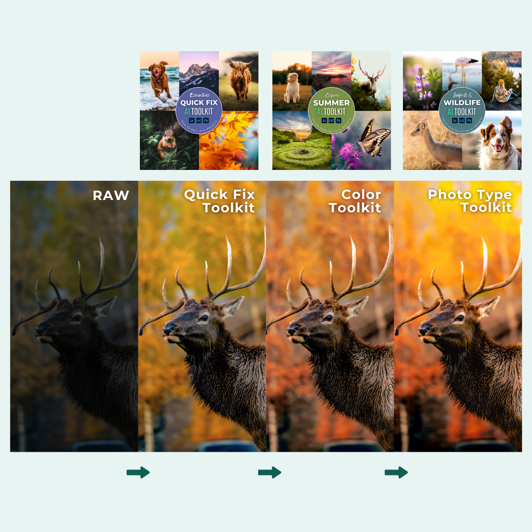The Complete AI Workflow Lightroom Presets Bundle