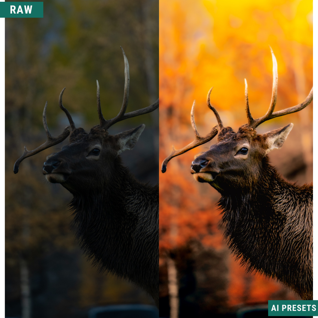 The Complete AI Workflow Lightroom Presets Bundle