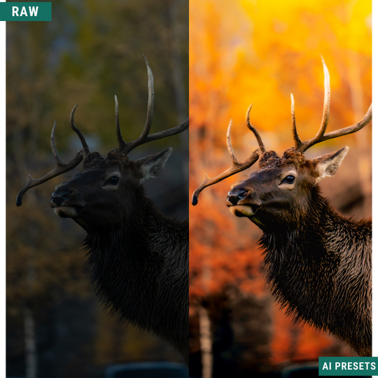 The Complete AI Workflow Lightroom Presets Bundle