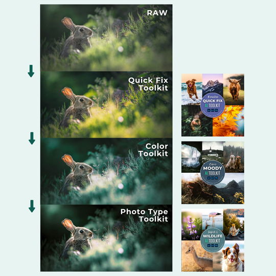 The Complete AI Workflow Lightroom Presets Bundle
