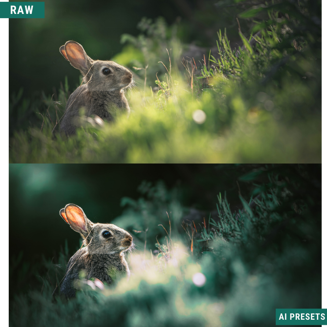 The Complete AI Workflow Lightroom Presets Bundle